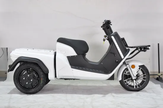 Sortez le scooter électrique Ridder de livraison de nourriture avec double batterie amovible